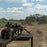 Lunette De Tir Pour Fusil De Chasse en application