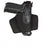 Holster Police
