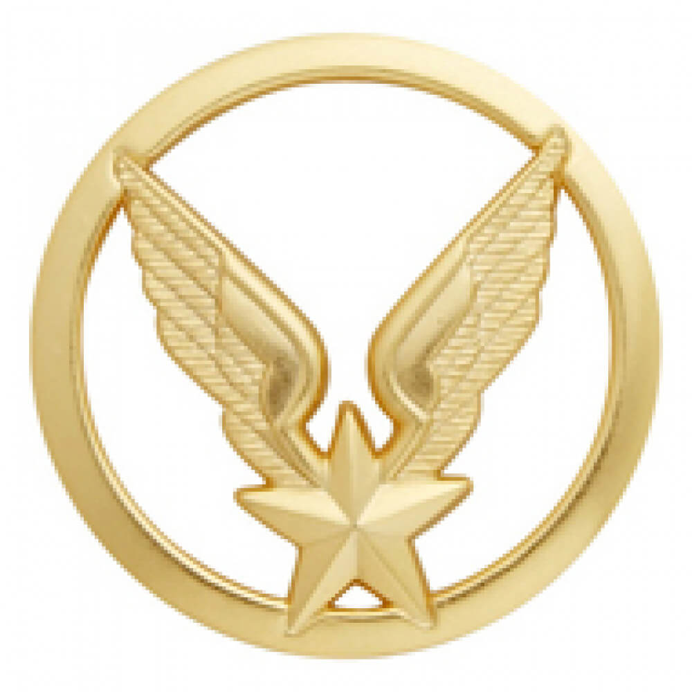 Insigne Aviation Légère Armée de Terre