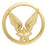 Insigne Aviation Légère Armée de Terre