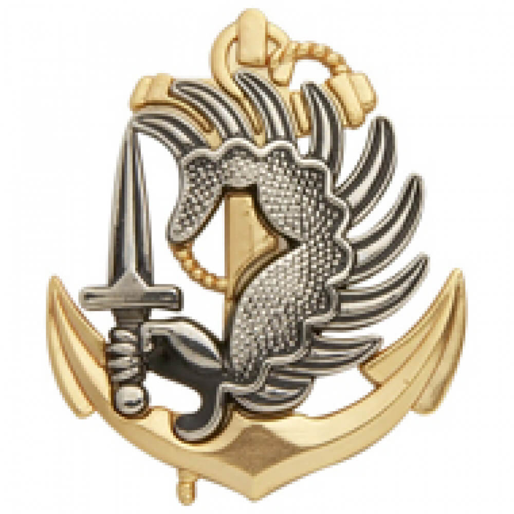 Insigne Troupes Aéroportées de Marine